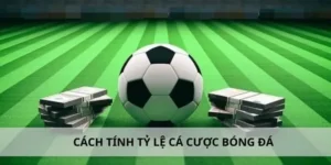 Tìm Hiểu Cá Cược Bóng Đá Loto188: Hành Trang Cho Tân Thủ